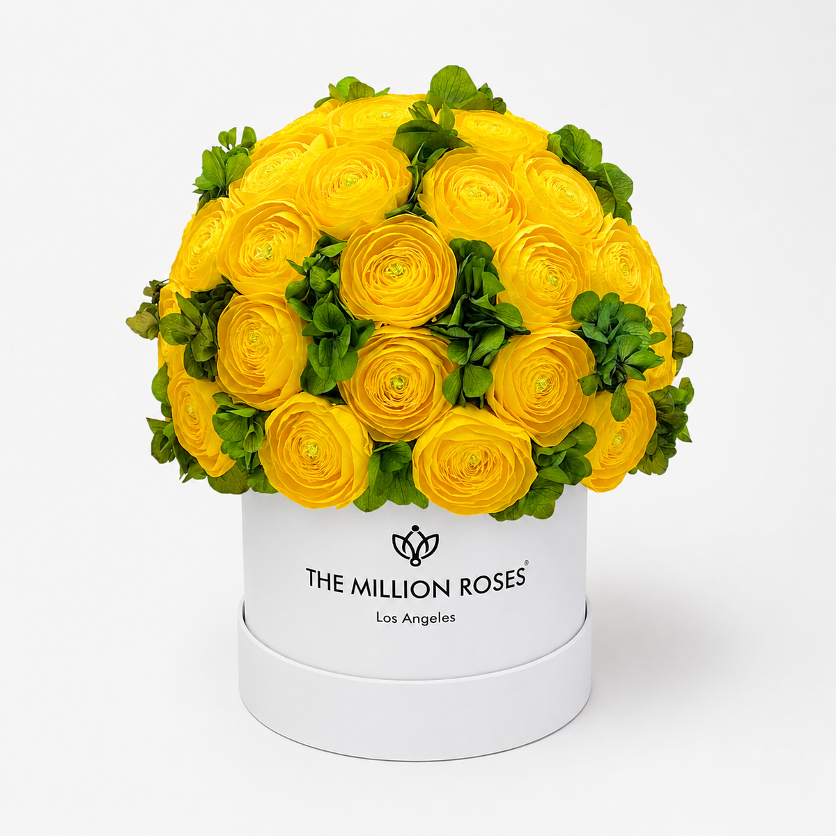 White & Yellow Preserved Hydrangeas Gift Box