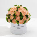 White & Peach Preserved Hydrangeas in Dome Box