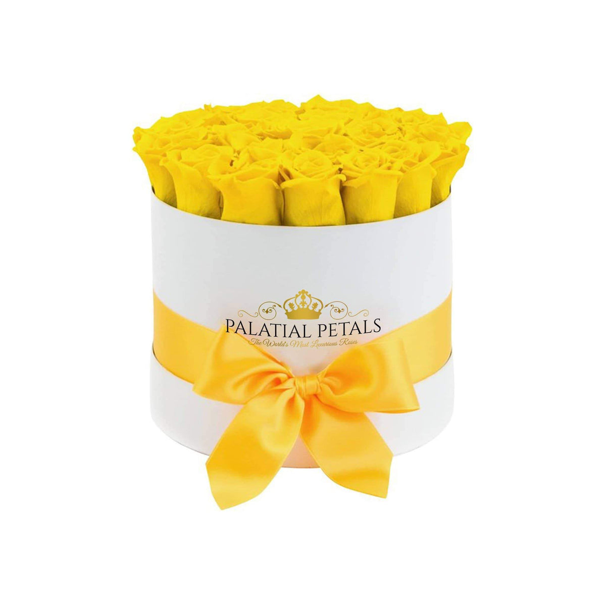 Sunshine Yellow Preserved Roses in Classic Round Gift Box – Style 2