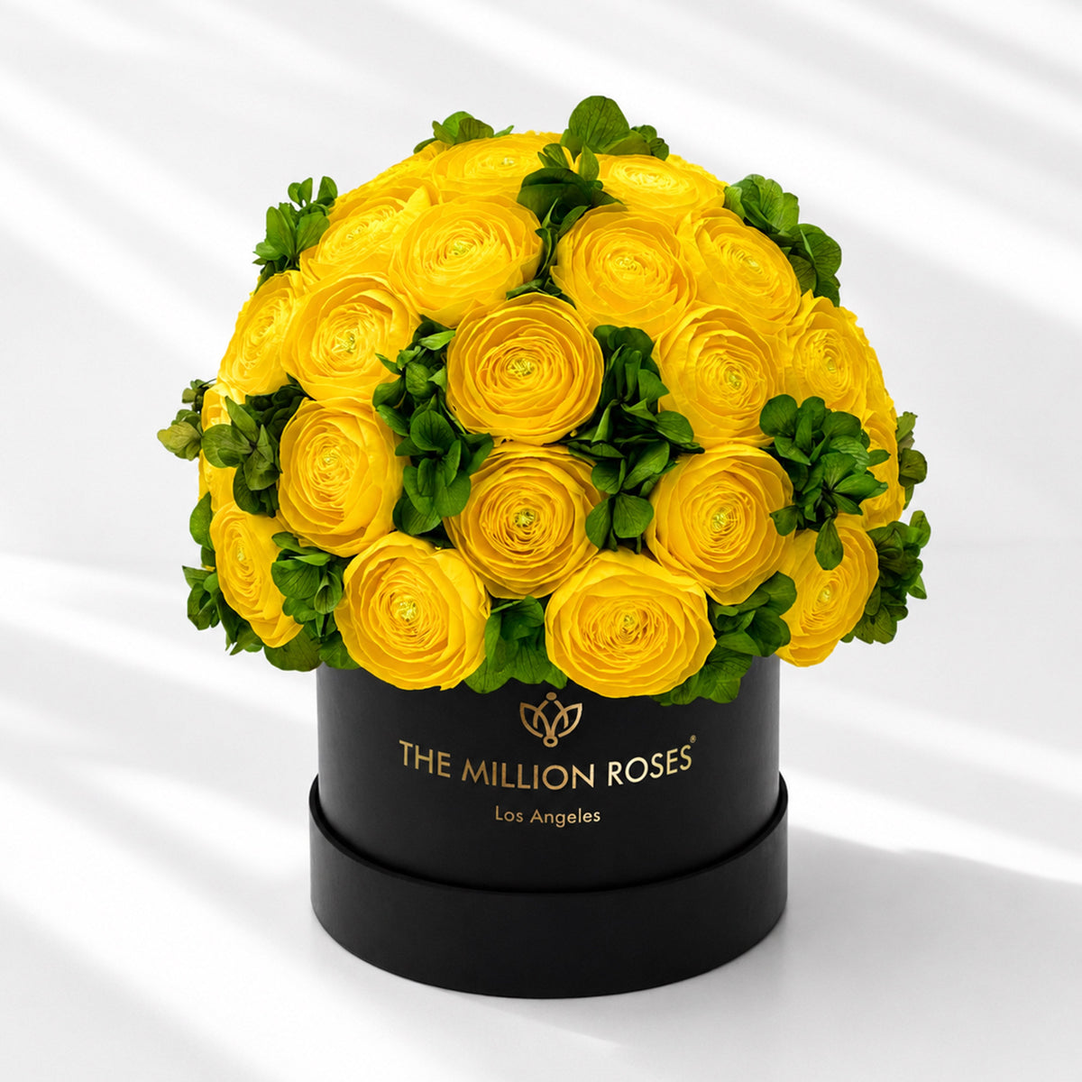 Yellow Preserved Hydrangeas Gift Box